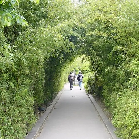 Lejlighed Quiet Cozy *